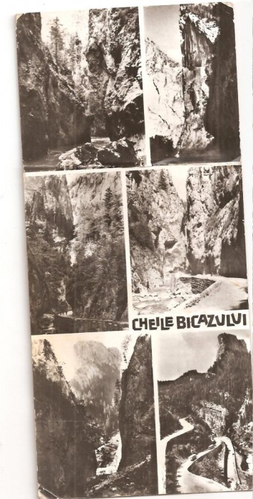 CPI (B4665) CHEILE BICAZULUI. MOZAIC, CIRCULATA, 10.7.1965, STAMPILA, dimensiuni: 9x20 mm, RPR