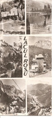 CPI (B4666) LACU ROSU. MOZAIC, CIRCULATA, 2.7.1965, STAMPILA, dimensiuni: 9x20 mm, RPR foto