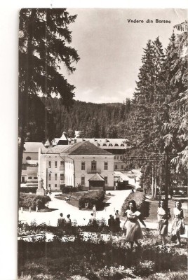 CPI (B4622) VEDERE DIN BORSEC, EDITURA MERIDIANE, CIRCULATA, 21.8.1962, STAMPILA, RPR foto
