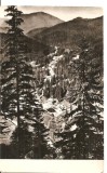 CPI (B4624) DRUMUL SPRE BORSEC, CIRCULATA, 5.8.1959, STAMPILE, TIMBRU, RPR