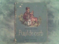 Puiul de cerb-Poem-Nicolae Labis foto