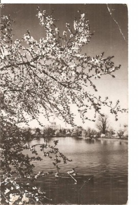 CPI (B4652) BUCURESTI. LACUL HERASTRAU, EDITURA MERIDIANE, CIRCULATA, 4.8.1964, STAMPILE foto