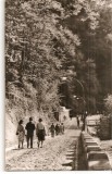 CPI (B4629) OLANESTI, SPRE IZVORUL NR. 24, EDITURA MERIDIANE, CIRCULATA, 22.9.1963, STAMPILA, TIMBRU