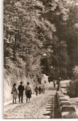 CPI (B4629) OLANESTI, SPRE IZVORUL NR. 24, EDITURA MERIDIANE, CIRCULATA, 22.9.1963, STAMPILA, TIMBRU foto