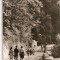 CPI (B4629) OLANESTI, SPRE IZVORUL NR. 24, EDITURA MERIDIANE, CIRCULATA, 22.9.1963, STAMPILA, TIMBRU