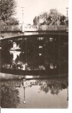 CPI (B4631) TIMISOARA. POD PESTE BEGA, CIRCULATA, 10.8.1966, STAMPILE, TIMBRU, RPR