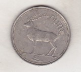 Bnk mnd Irlanda 1 lira 1990 , fauna, Europa