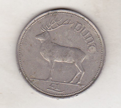 bnk mnd Irlanda 1 lira 1990 , fauna foto