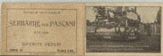 D 202 ILUSTRATA PASCANI - CARNET CU 6 ILUSTRATE - SERBARILE DE LA PASCANI DIN 1919 foto