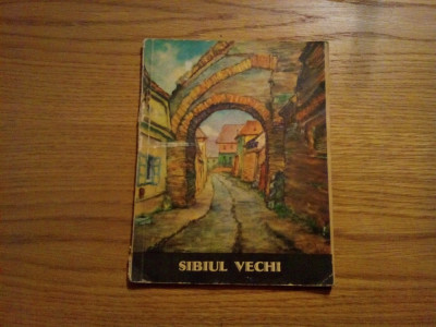 SIBIU VECHI - Album cu 12 desene (vederi) - Hans Hermann - 1985 foto