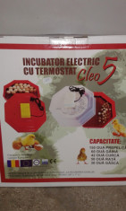 INCUBATOR OUA ELECTRIC CU TERMOSTAT foto