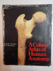 A COLOUR ATLAS OF HUMAN ANATOMY de R.M.H. MCMINN , R.T. HUTCHINGS foto