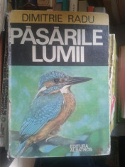 Pasarile lumii foto