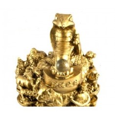Sarpe Feng Shui cu Zodii foto