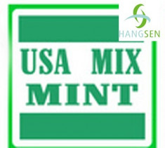 Hangsen E-Lichid 30 ml PG - USA Mix Mint foto