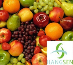 Hangsen E-Lichid 10 ml VG - Amestec fructe ( arome de fructe ) foto