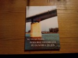 PODURILE VIITORULUI PE DUNAREA DE JOS - Gheorghe Buzuloiu - 2006, 208 p., Alta editura