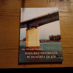 PODURILE VIITORULUI PE DUNAREA DE JOS - Gheorghe Buzuloiu - 2006, 208 p.