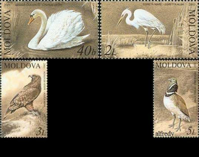 MOLDOVA 2003, Fauna - Pasari, serie neuzata, MNH foto