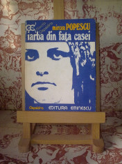 Mircea Popescu - Iarba din fata casei foto