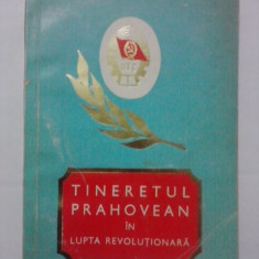 Tineretul prahovean in lupta revolutionara (contine poze) / R3F