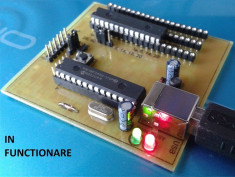 Programator PIC Pickit2 clona 3,3 ? 5V cu soclu on board foto