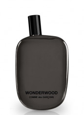 Parfum Comme des Garcons Wonderwood, apa de parfum 100ml Men foto