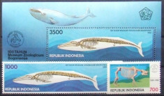 INDONEZIA 1994 - MUZEU ZOOLOGIC 2 VALORI SI 1 S/S, NEOBLITERATE - E2567 foto