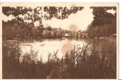 CPI (B4789) SOVATA - LACUL URSU, SCRISA SI NECIRCULATA, foto