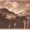 CPI (B4796) BUCEGI. VARFUL BATRANA, EDITURA DE STAT, CIRCULATA, 19.AUG.1950, STAMPILE, TIMBRE