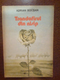 D9 Adrian Bocsan - Trandafirul din nisip, 1988