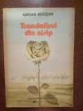 d9 Adrian Bocsan - Trandafirul din nisip