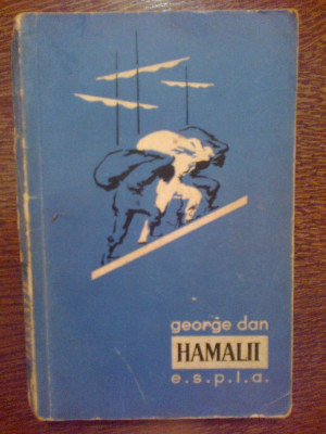 n7 Hamalii - George Dan foto