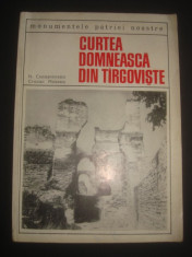 N. CONSTANTINESCU * CRISTIAN MOISESCU - CURTEA DOMNEASCA DIN TARGOVISTE foto