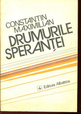 Drumurile sperantei - Autor : Constantin Maximilian - 52591 foto