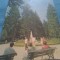 CP OLANESTI VEDERE DIN PARC CIRCULATA