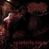 SUICIDAL CAUSTICITY (Italy)-The Spiritaul Decline CD New (Suffocation, Nile)2013