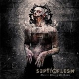 SEPTICFLESH (Greece) &lrm;&ndash; Mystic Places of Dawn CD, Reissue, Digipak, Ltd., 2013, Rock