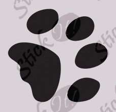 Pet footprint_Sticker Decorativ_Sticker Diverse_DIV-289-Dimensiune: 15 cm. X 15 cm. - Orice culoare, Orice dimensiune foto