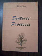 Sentence Processes - Nadina Visan (2006) Curs pentru LMA foto