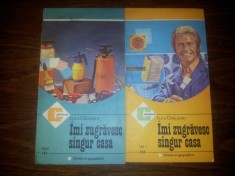 LUCA GHERASIM - IMI ZUGRAVESC SINGUR CASA 2 volume