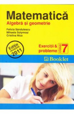 Matematica clasa 7 exercitii si probleme algebra si geometrie - Felicia Sandulescu foto