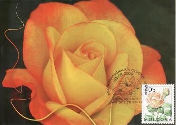 2079 - Moldova 2009 - carte maxima foto