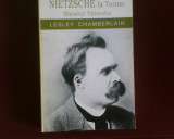 Lesley Chamberlain Nietzsche la Torino. Sfarsitul Viitorului