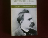 Lesley Chamberlain Nietzsche la Torino. Sfarsitul Viitorului