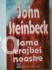 John Steinbeck - Iarna vrajbei noastre (1993) foto