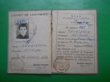HOPCT CARNET DE LEGITIMARE-FEDERATIA ROMANA DE BASCHET-GAVRILESCU NICOLAE 1964, Romania de la 1950, Documente
