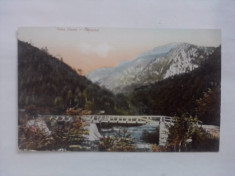 Valea Cernei foto