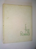 Flori din Romania - Rodica Rarau - Bichiceanu 1965