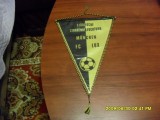 fanion F.C. Munchen